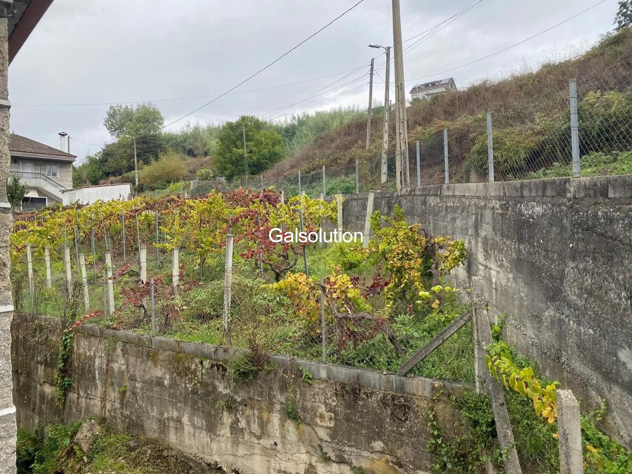 Foto 6 Casa con bus urbano